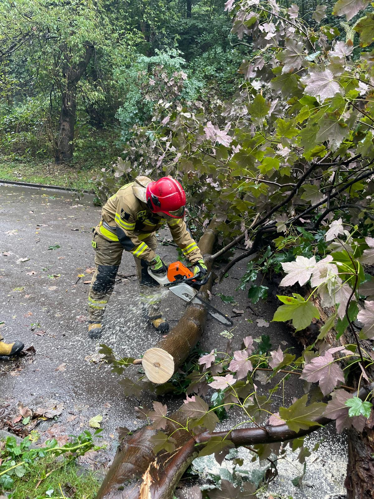 Strażacy z Bytomia nie mieli odpoczynku – rekordowe 66 interwencji w weekend