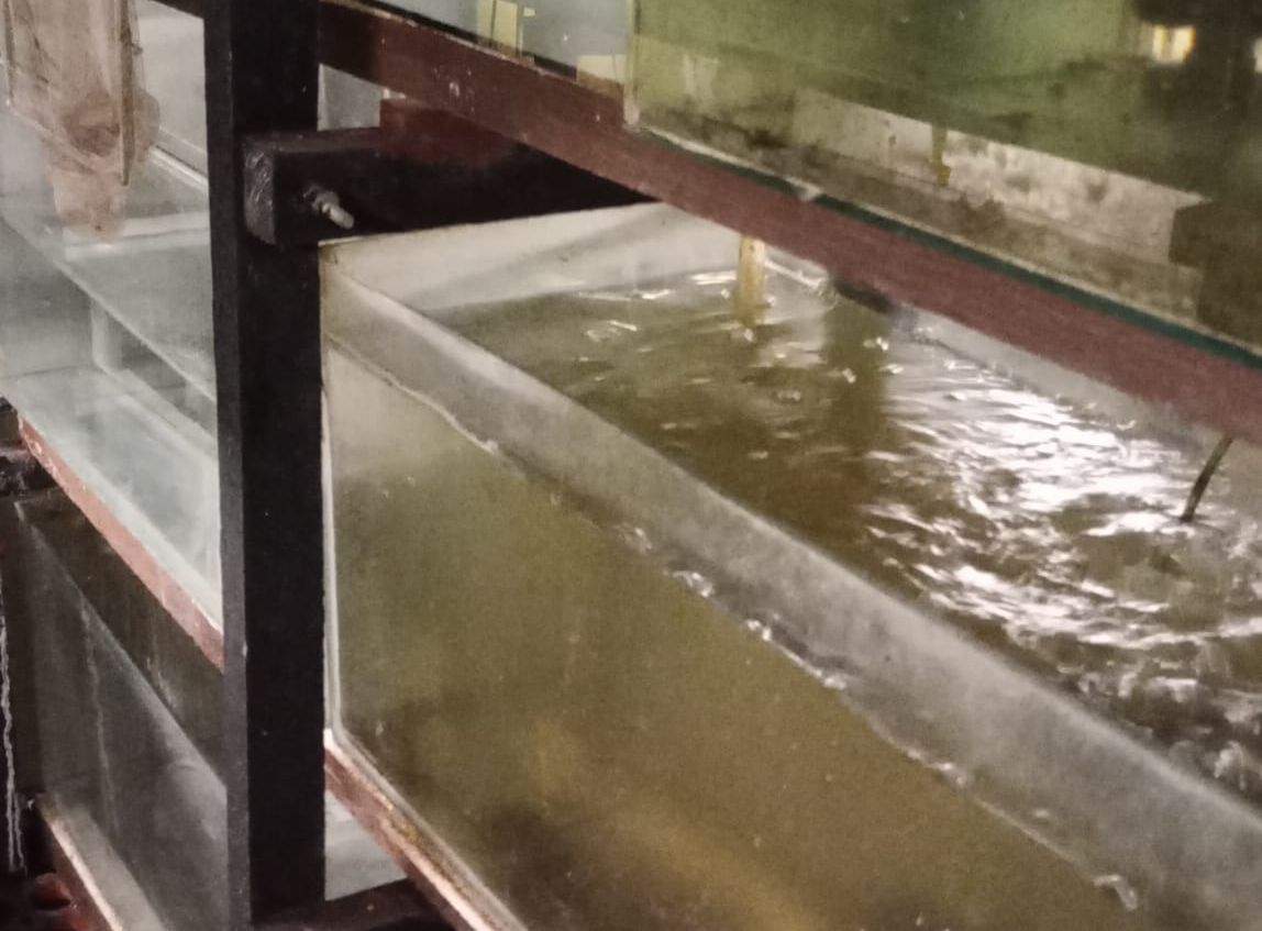 Skandal w sklepie zoologicznym: Zwierzęta trzymane w skandalicznych warunkach