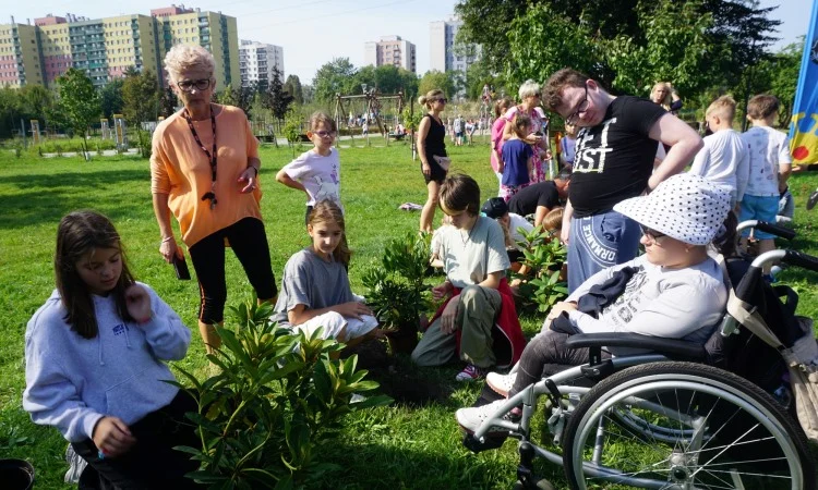 Piknik ekologiczny z okazji Święta Drzewa już 13 września!