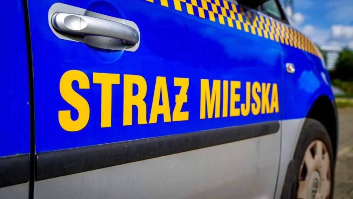 Zuchwała kradzież na 3 Maja – właściciel sklepu i strażnicy miejscy zatrzymują sprawcę