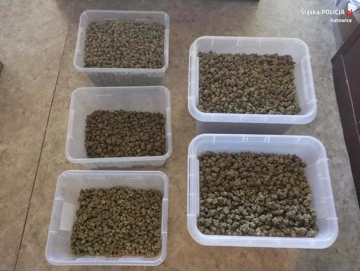 Akcja katowickich policjantów: znalezisko 11,5 kg narkotyków w Żarkach Letnisko
