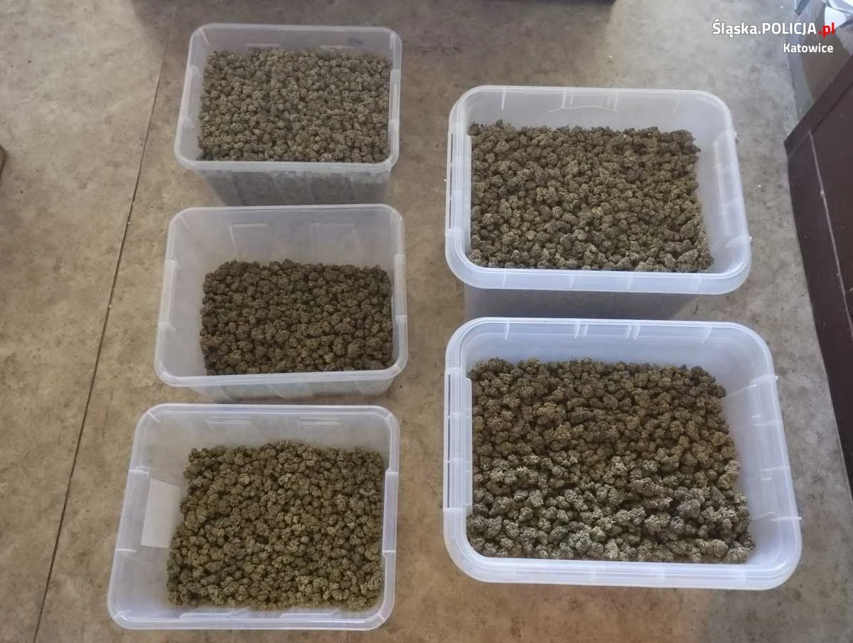 Akcja katowickich policjantów: znalezisko 11,5 kg narkotyków w Żarkach Letnisko