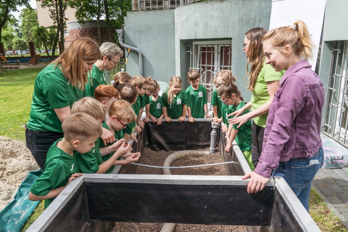 Społeczna Szkoła Podstawowa w Katowicach uczestnikiem programu ogrodów deszczowych