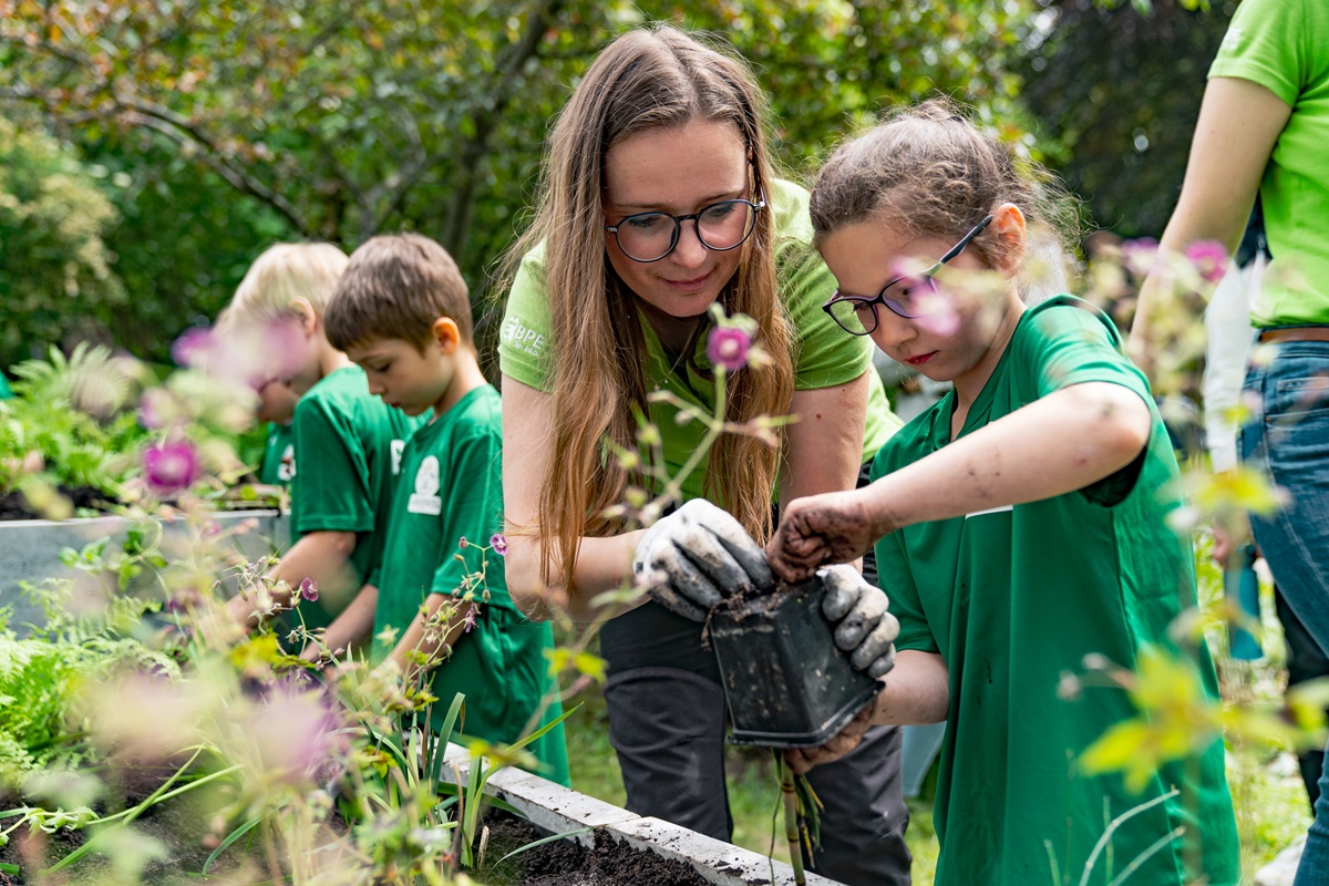 Społeczna Szkoła Podstawowa w Katowicach uczestnikiem programu ogrodów deszczowych