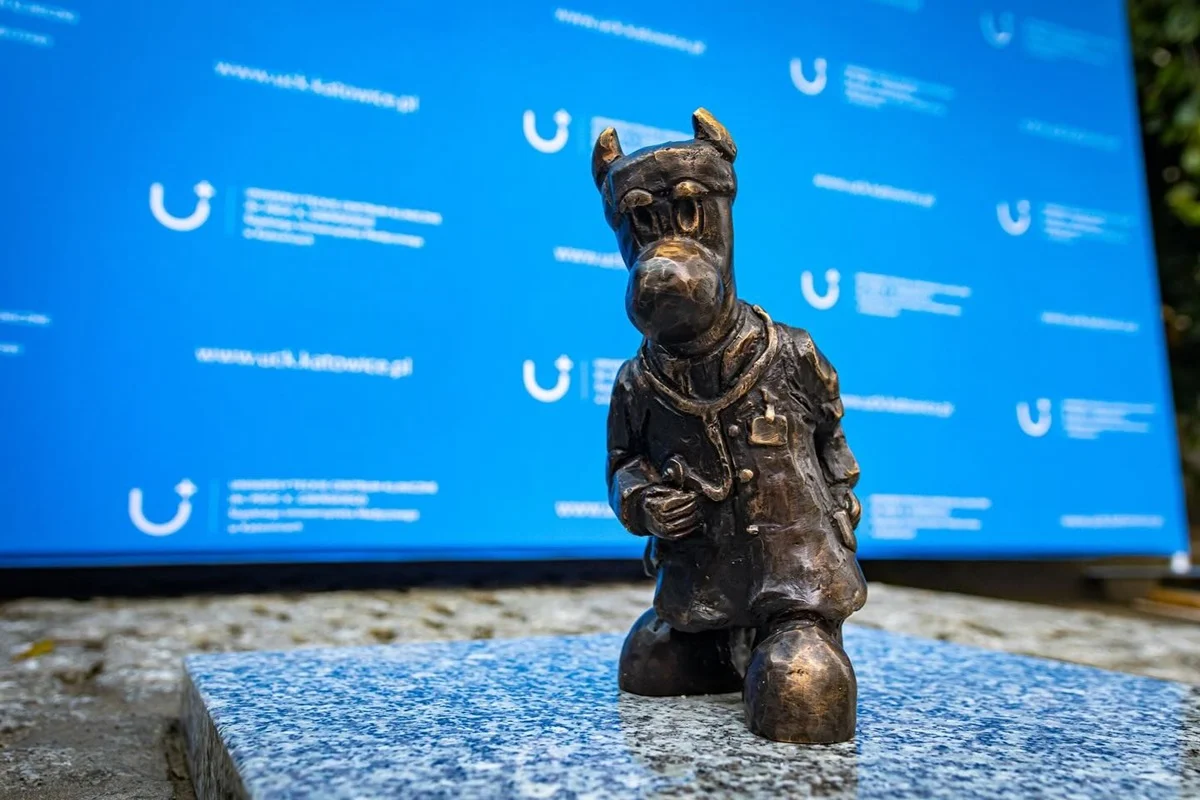 Katowice powiększają rodzinę beboków – nowe postacie przy Medyków i Ceglanej