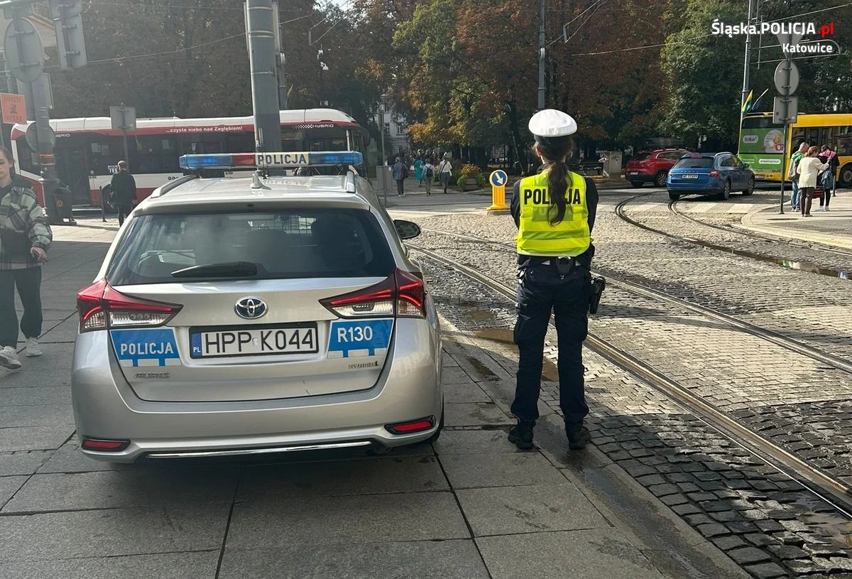 Policja podsumowuje akcję "Bezpieczny pieszy" – 90 mandatów dla kierowców