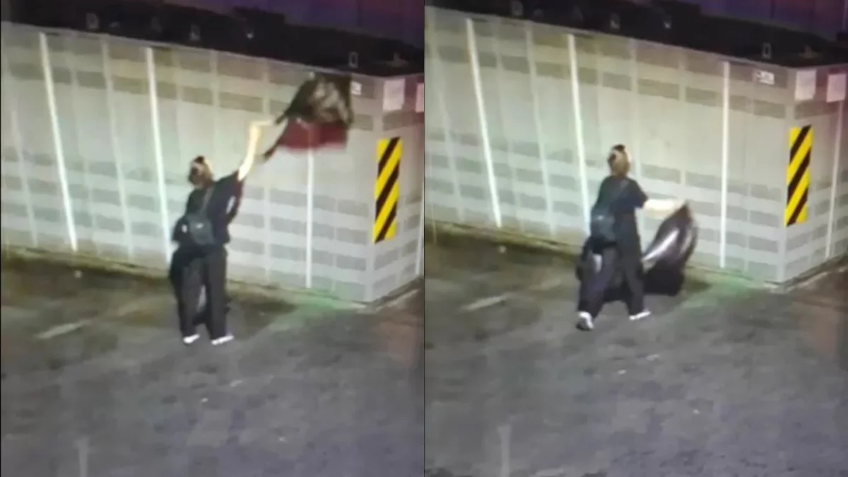 Katowice walczą z plagą śmieci – straż miejska na tropie zaśmiecających