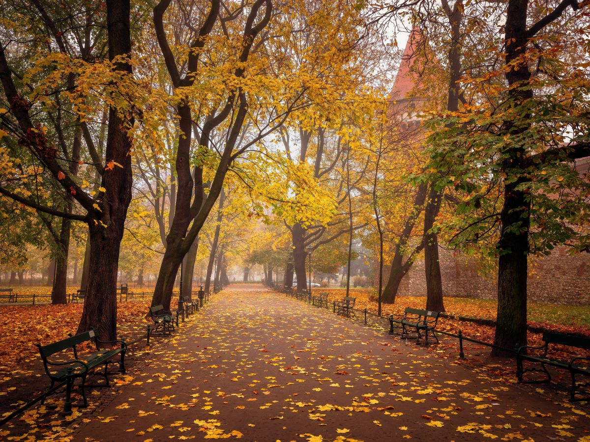 Początek kalendarzowej jesieni 23 września. Co warto wiedzieć o tej porze roku?