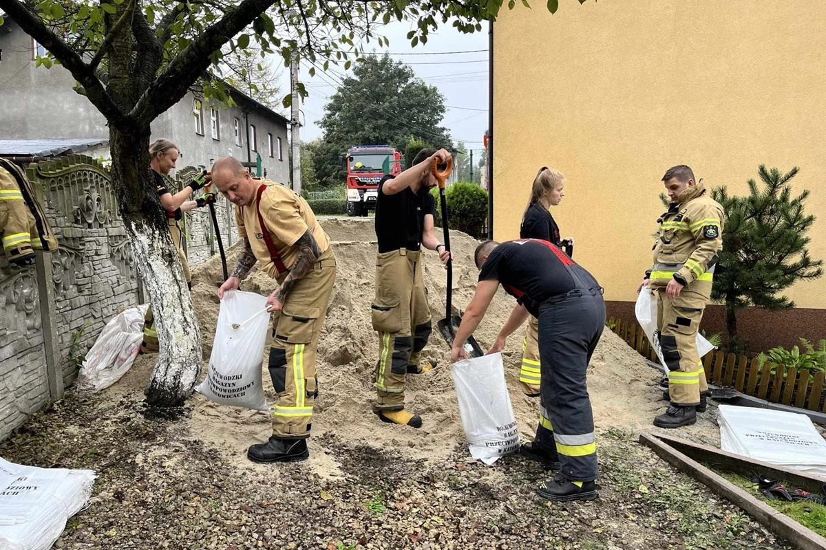 Mieszkańcy Katowic wybrali 140 zadań do realizacji w ramach Budżetu Obywatelskiego