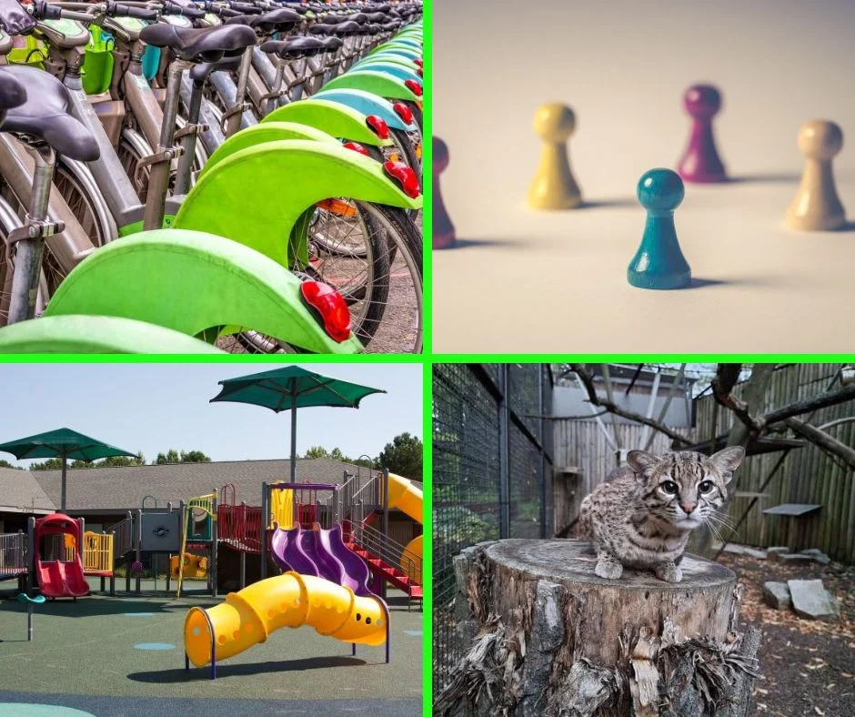 Projekty z Chorzowa w Marszałkowskim Budżecie Obywatelskim. Ostatni dni głosowania!