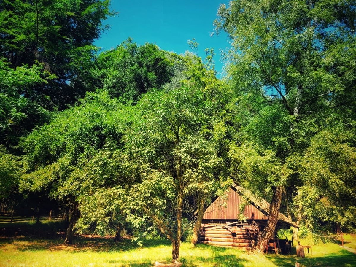 Ziemniaczane atrakcje w chorzowskim skansenie – 22 września “Dzień Kartofla”