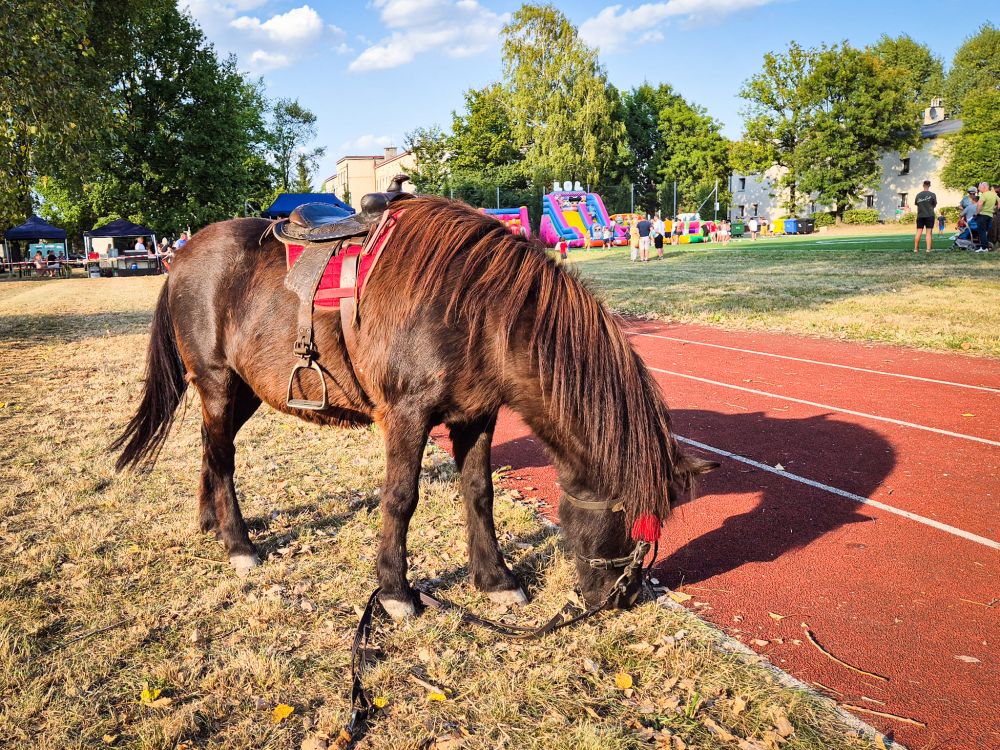 Swięto Maciejkowic 3