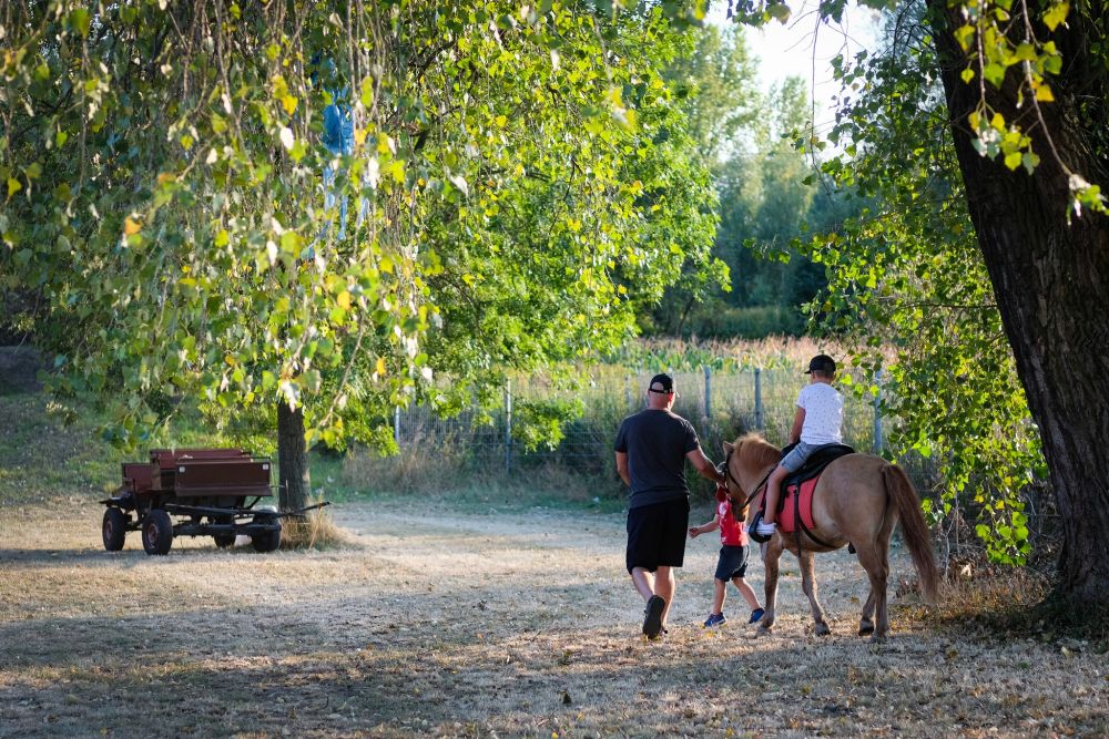Swięto Maciejkowic 15