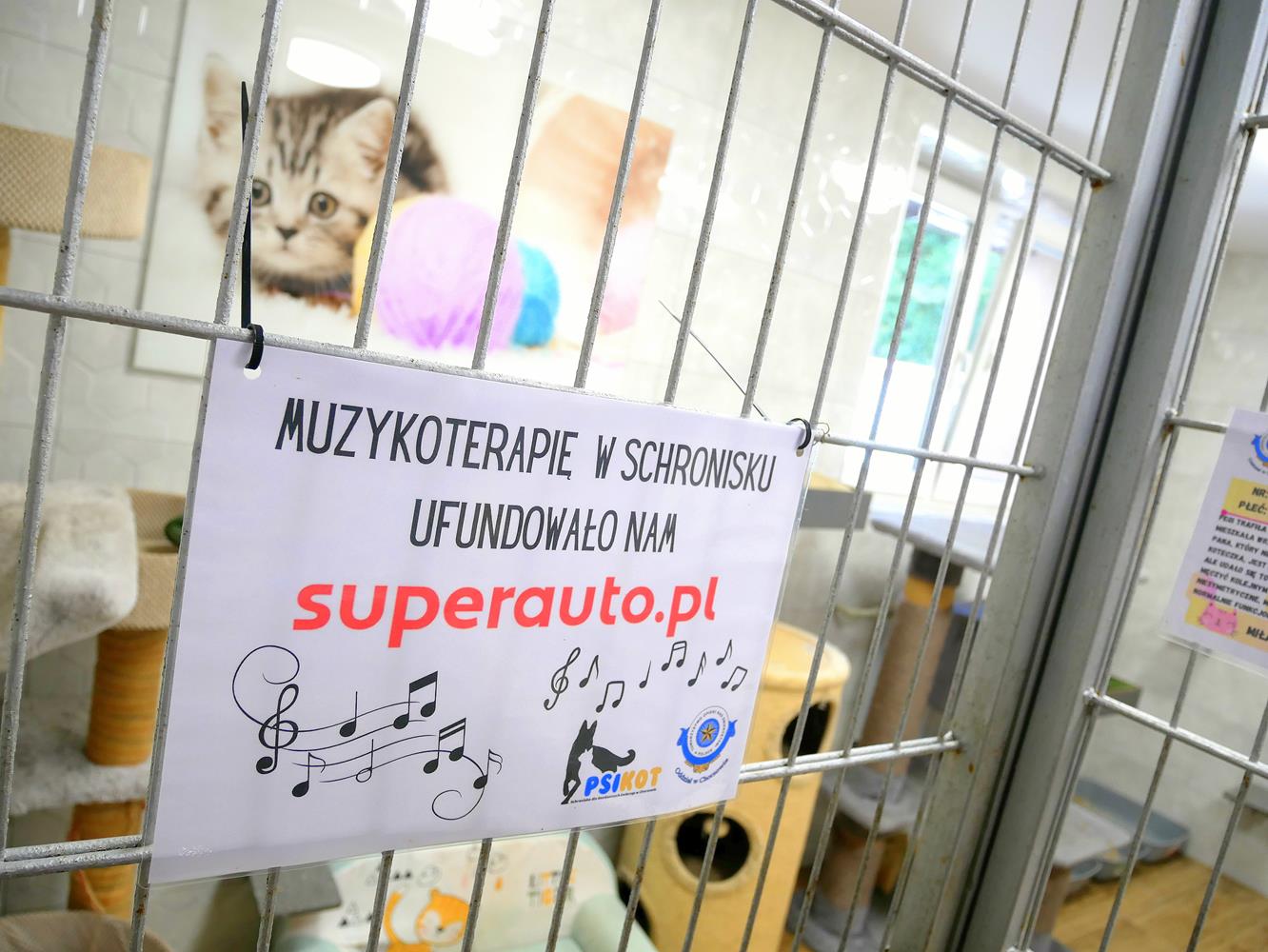 Schronisko z muzykoterapią dla zwierząt. Chorzów jednym z pionierów