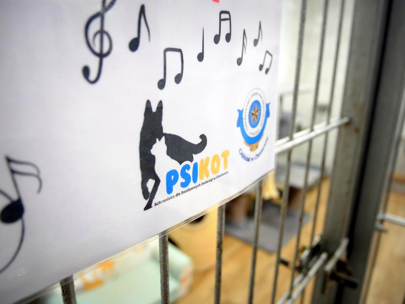 Schronisko z muzykoterapią dla zwierząt. Chorzów jednym z pionierów