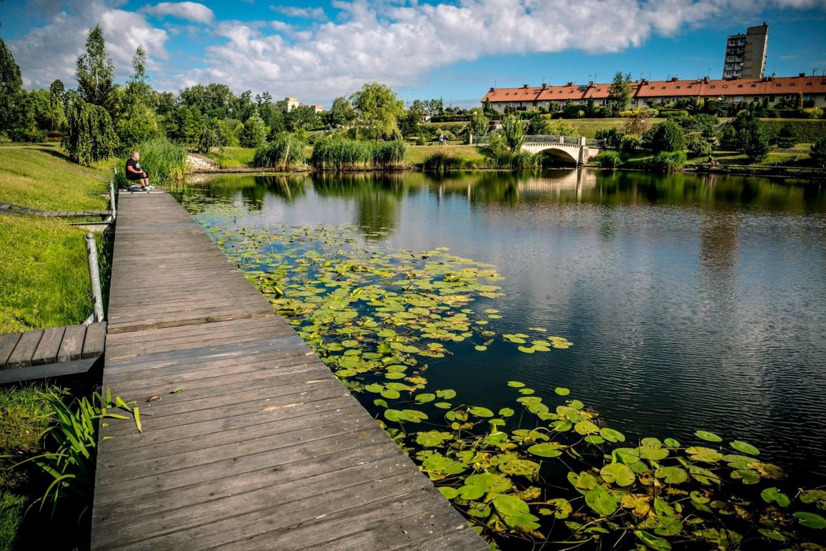 Chorzów: Wyniki badań wody w stawie Amelung – WIOŚ wyklucza obecność ścieków