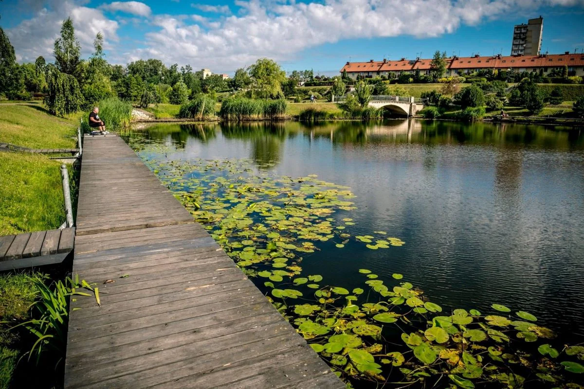 Chorzów: Wyniki badań wody w stawie Amelung – WIOŚ wyklucza obecność ścieków