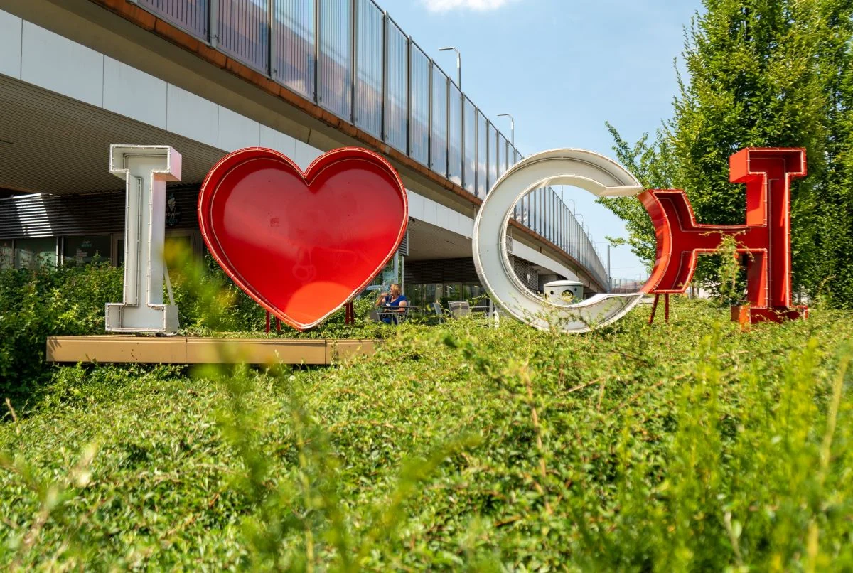 Mieszkańcy Chorzowa mogą ocenić stan zdrowotności miasta. Wypełnij ankietę do 30 września!