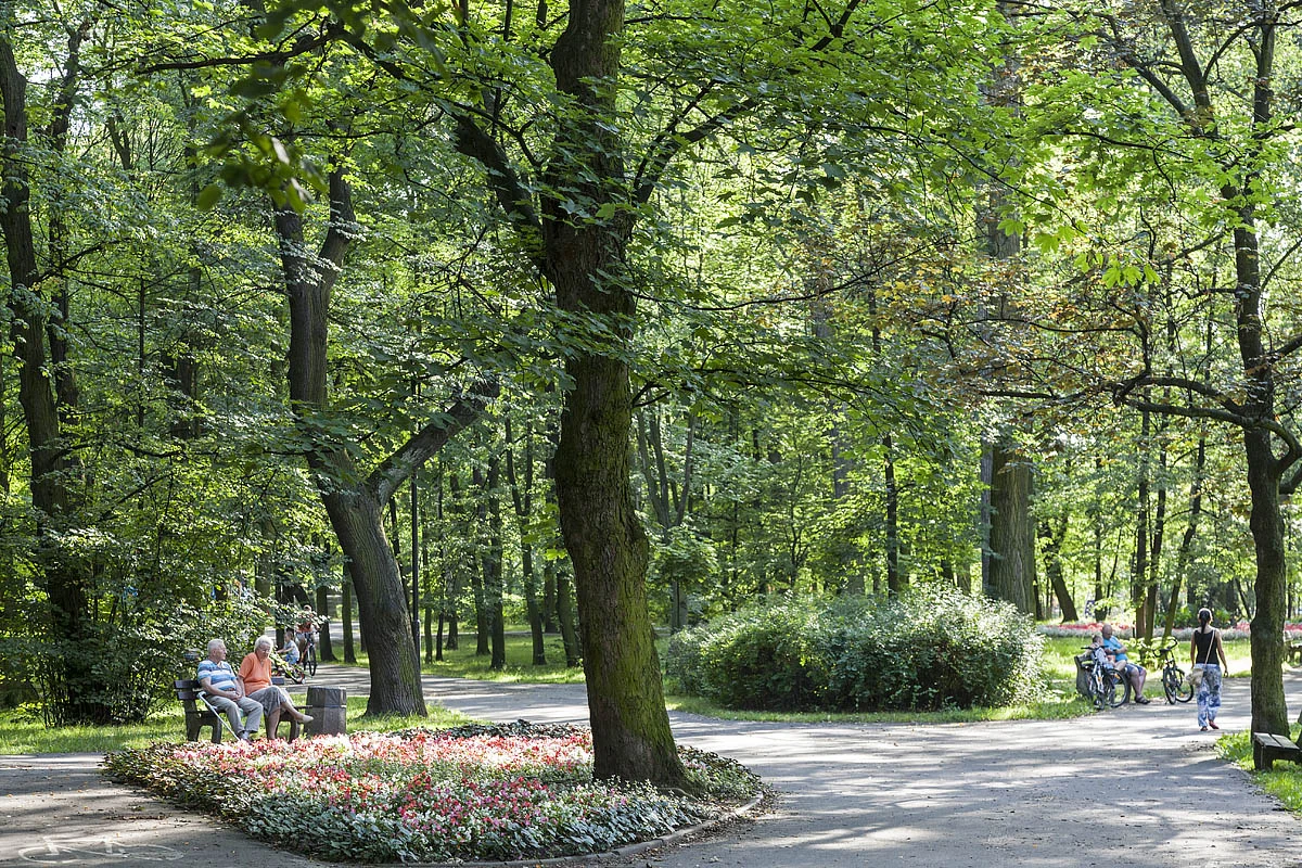 Ruszyło głosowanie na Budżet Obywatelski Świętochłowic 2025!