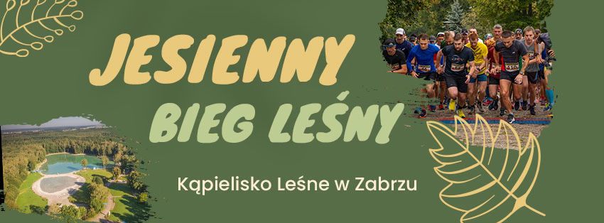 Jesienny Bieg Leśny 2024. Zapisy zamknięte!