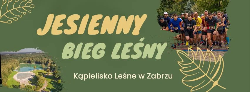 Jesienny Bieg Leśny 2024. Zapisy zamknięte!
