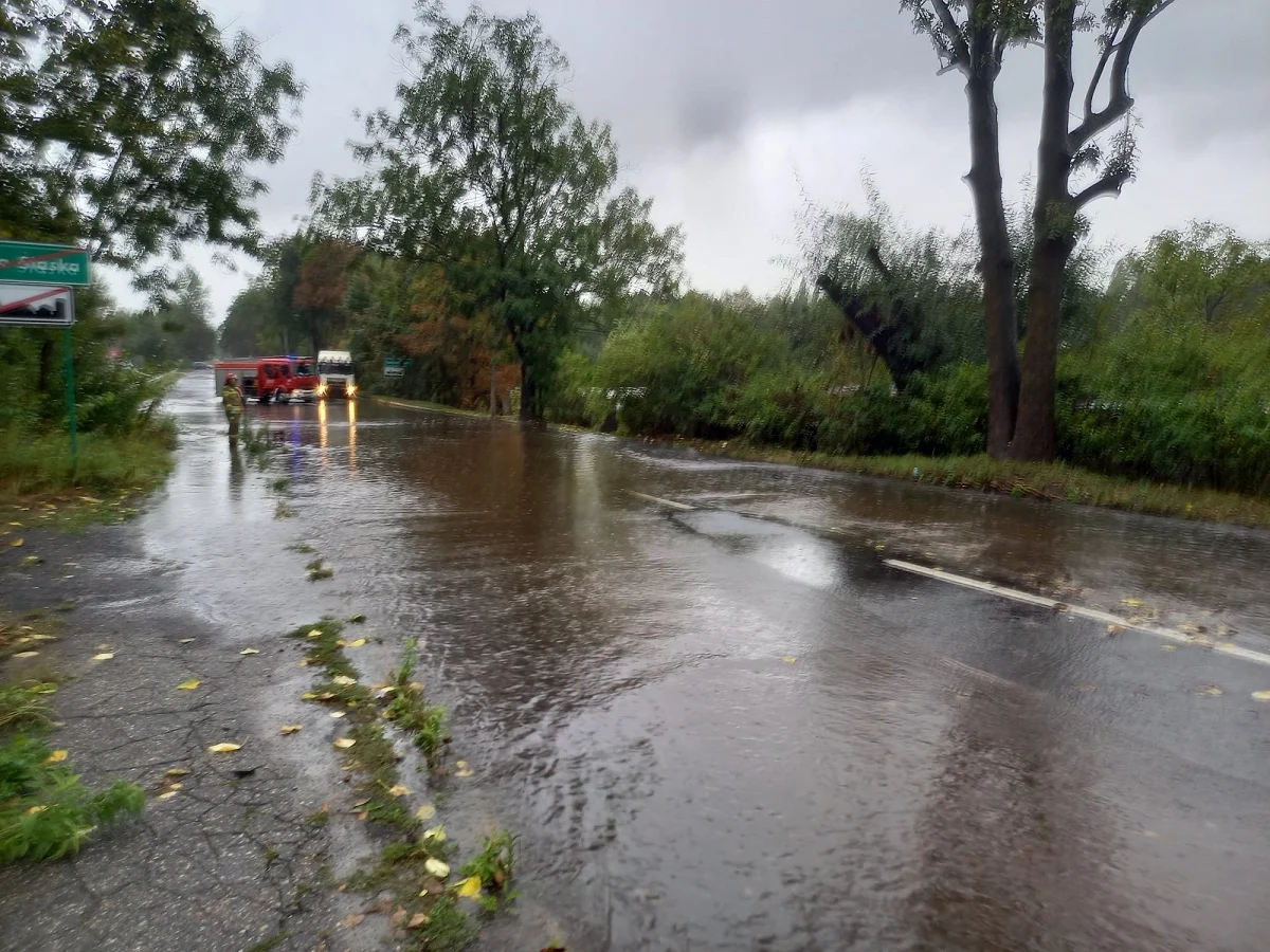 Intensywne opady i wichura w Świętochłowicach. Służby interweniowały 21 razy w jeden dzień