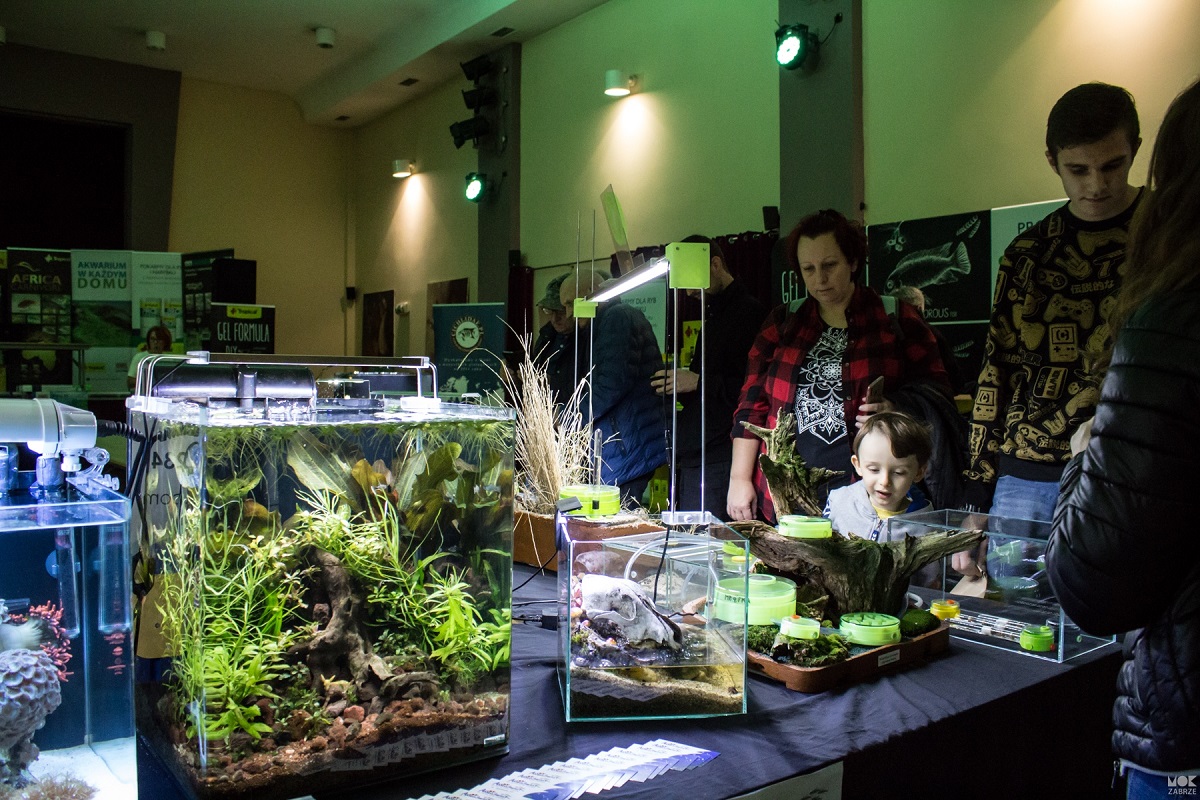 XII Śląski Weekend Akwarystyczny – już w ten weekend