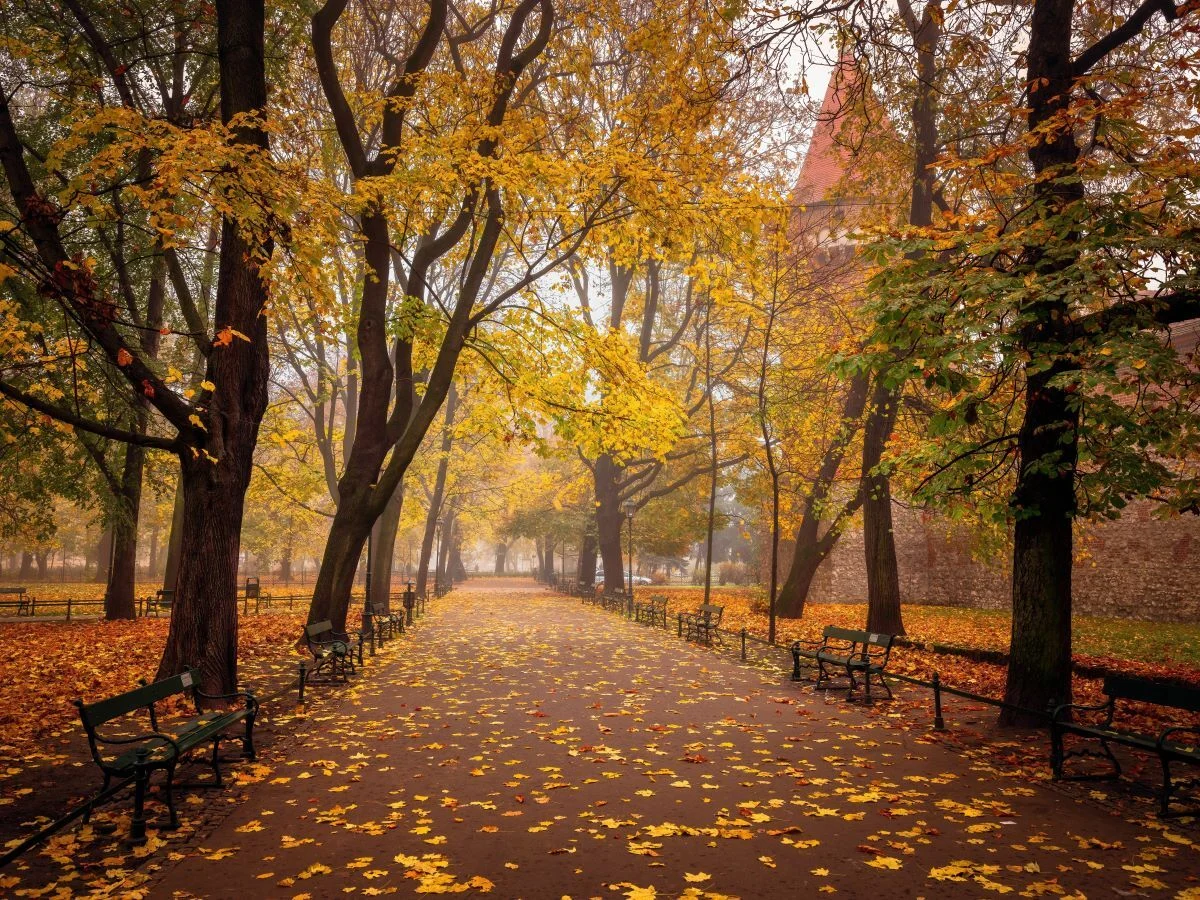 Początek kalendarzowej jesieni 23 września. Co  warto wiedzieć o tej porze roku?