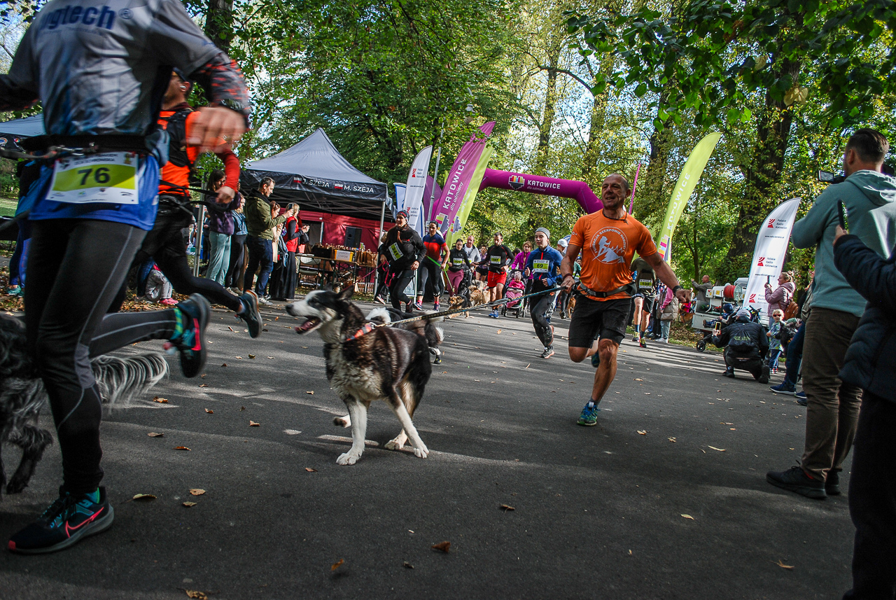Trwa 8. Katowicki Dzień Psiaka [FOTORELACJA]