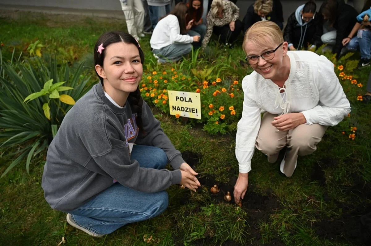 Żonkile symbolem nadziei – rudzka akcja „Pola nadziei”