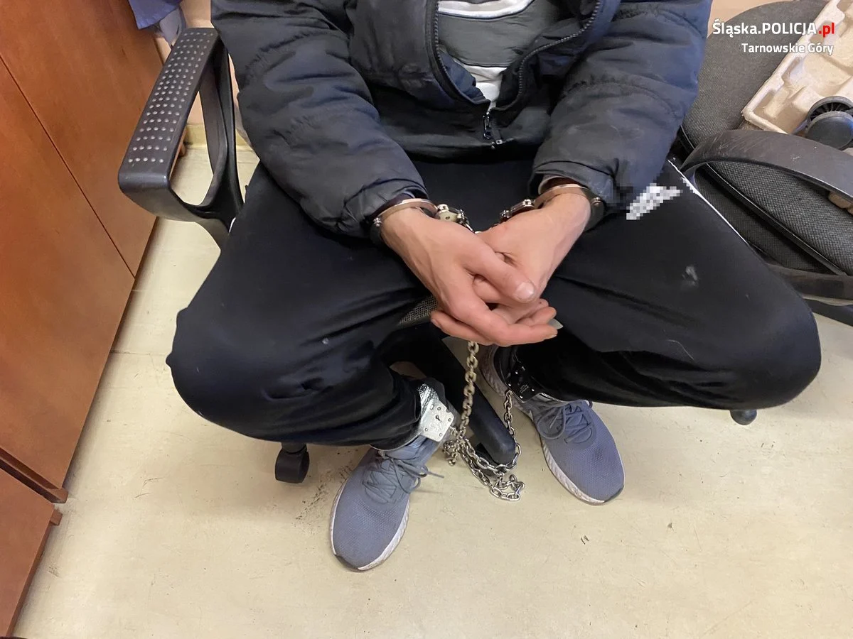 Skandal w Krupskim Młynie! 40-latek w rękach policji za dziecięcą pornografię i znęcanie się nad zwierzętami!