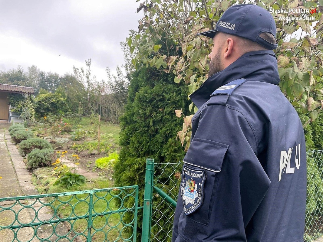 Zabezpiecz swoją działkę przed złodziejami: co warto zrobić przed zimą?