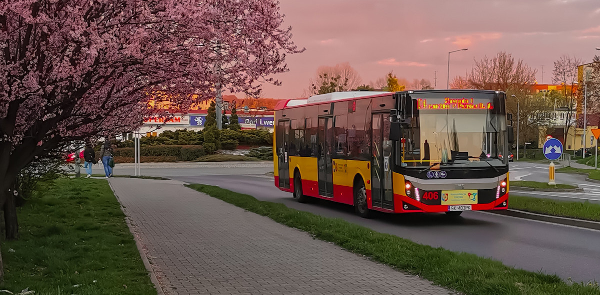 Darmowe przejazdy autobusami w Wodzisławiu na Wszystkich Świętych!