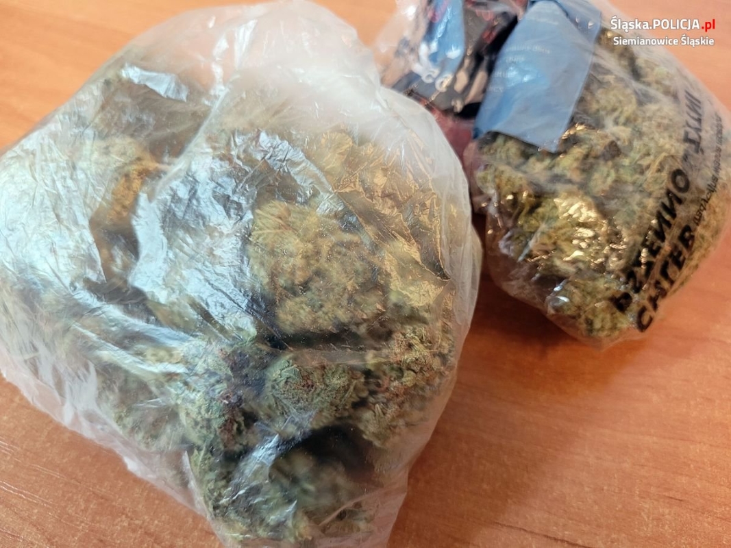 Ponad 2 kg narkotyków w lodówce i garażu – 31-latek trafił do aresztu