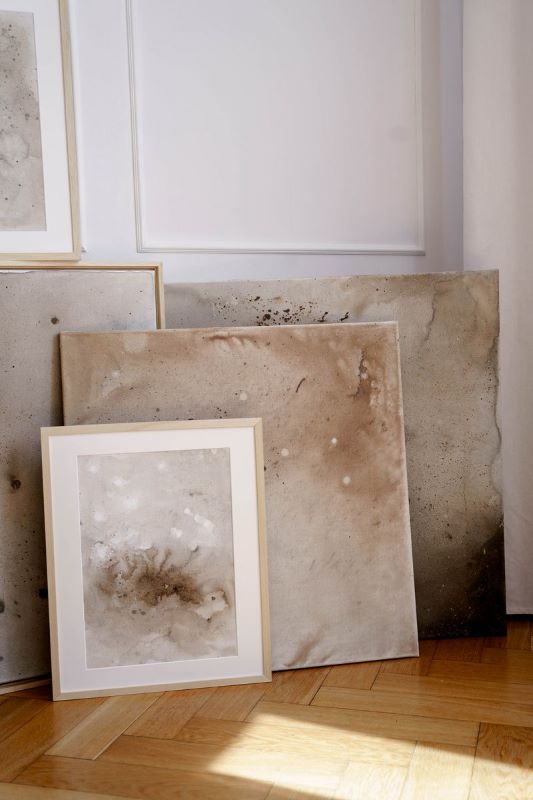 "Natura" w Bibliotece Centralnej – wernisaż Eweliny Kani odkrywa piękno prostoty