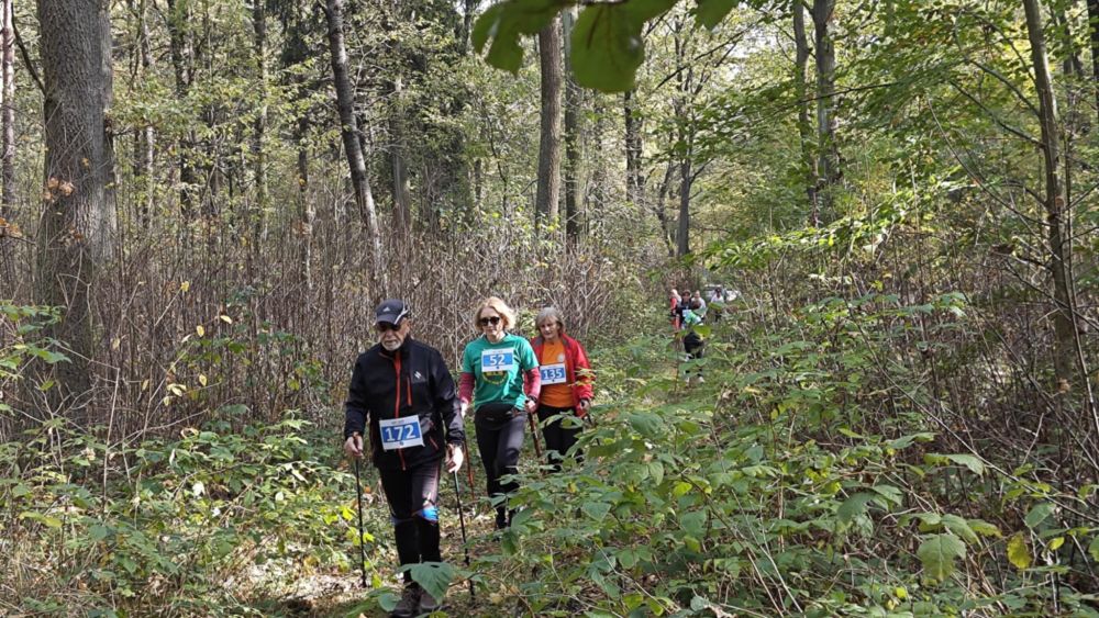 Biegowe Grand Prix MOSiR 2024 zakończone – gala podsumowująca już 17 listopada 12