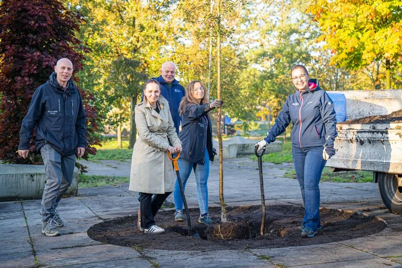 Światowy Dzień Drzewa – wspólne sadzenie i ekologiczne inicjatywy