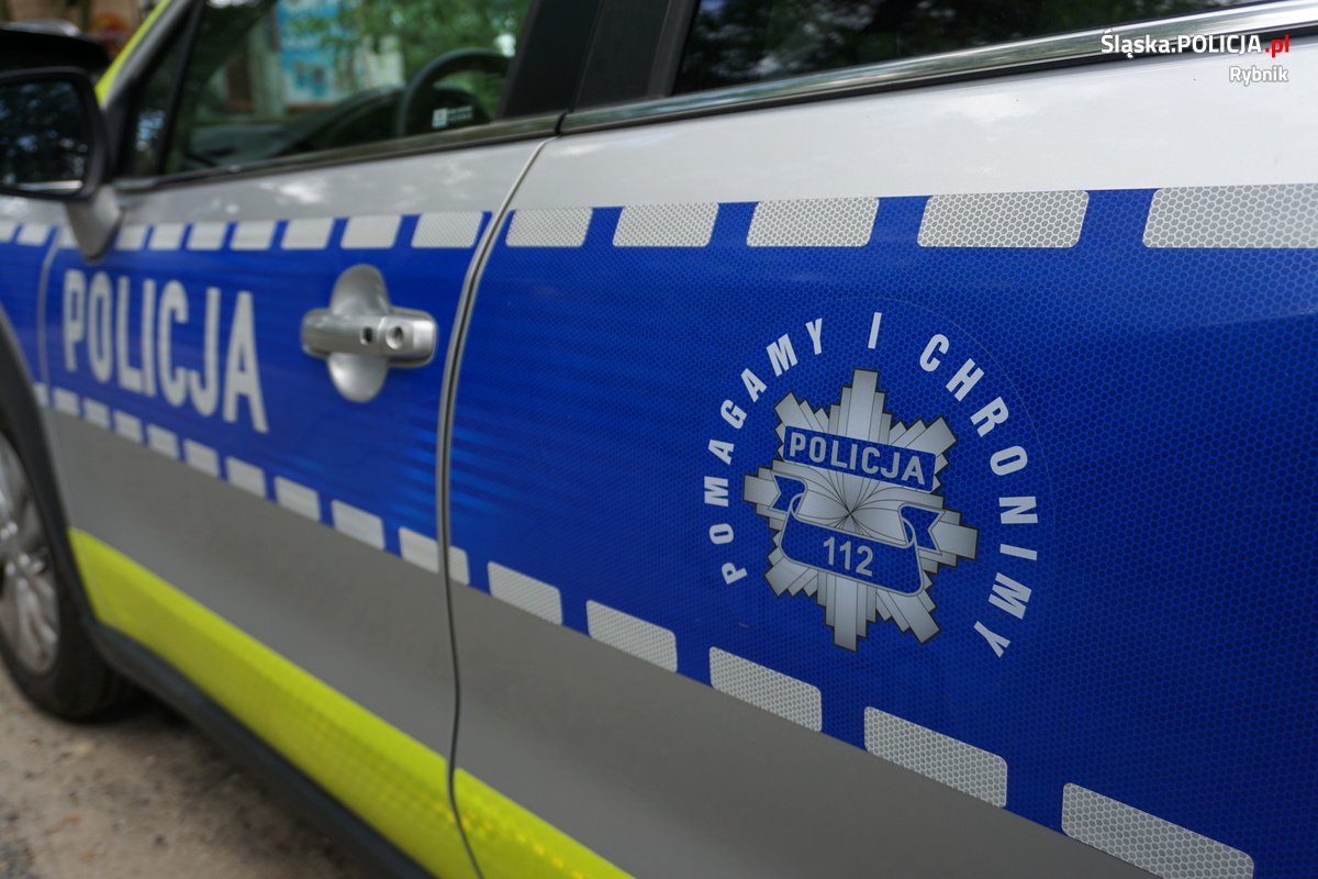 Podejrzenie otrucia psów w Rybniku – mieszkańcy apelują o czujność