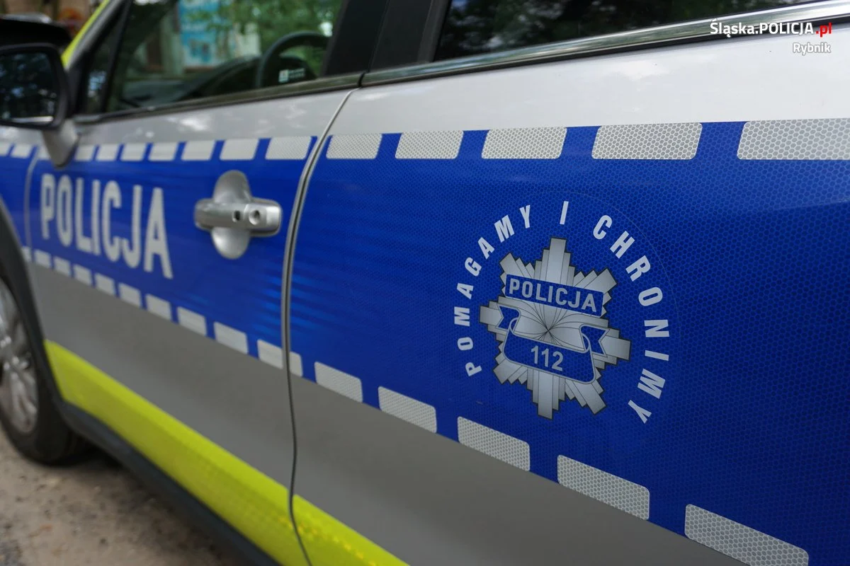 Podejrzenie otrucia psów w Rybniku – mieszkańcy apelują o czujność