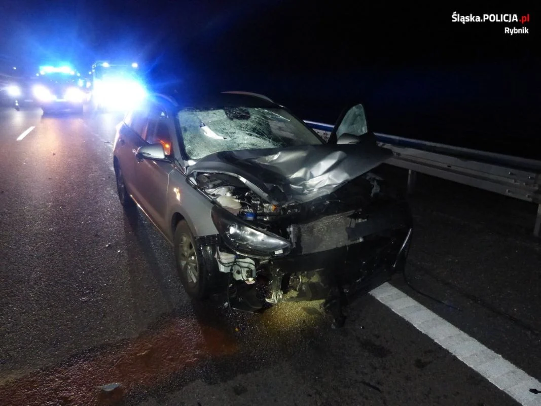 Potrącenie na A1 w Szczejkowicach: 35-letni mężczyzna zginął pod kołami hyundaia