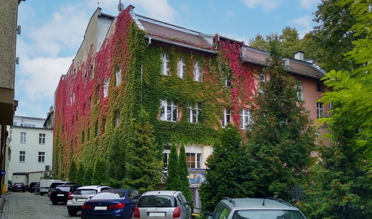 Jesień w Strefie Seniora. Siedziba pięknieje w oczach!