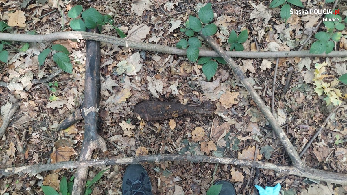 Mieszkanka Gliwic podczas spaceru w lesie znalazła pocisk po II Wojnie Światowej