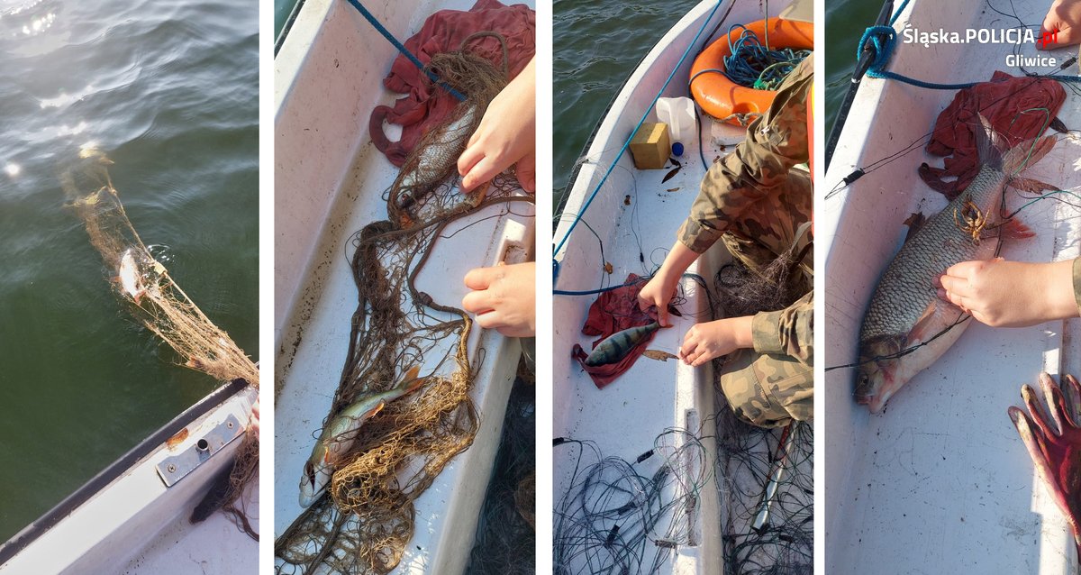 Kłusownik zastawił sieci na jeziorze Pławniowice. Teraz poszukuje go policja