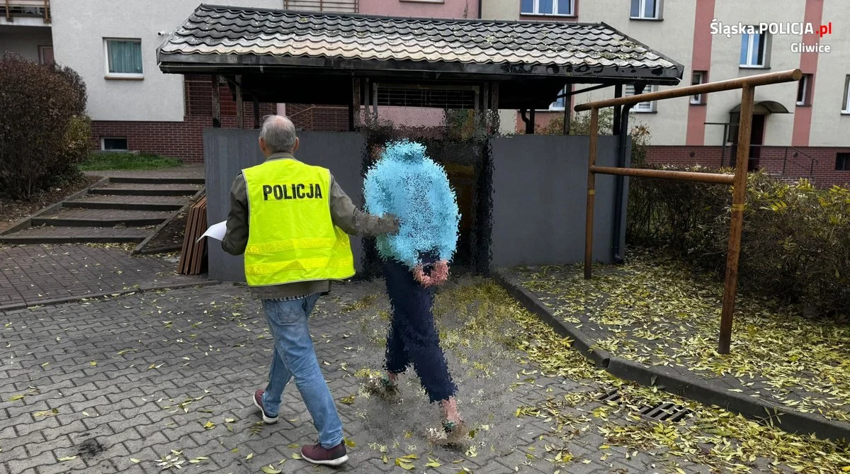 Gliwiccy mundurowi zatrzymali piromana. Mężczyźnie grozi kara nawet do 10 lat więzienia