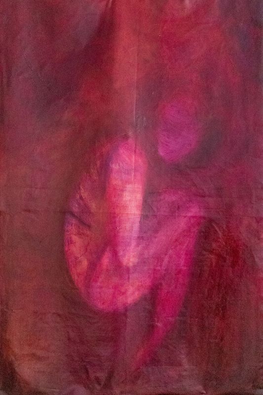 Wielowymiarowa podróż na płótnach: wernisaż Magdaleny Wesołowskiej już w piątek