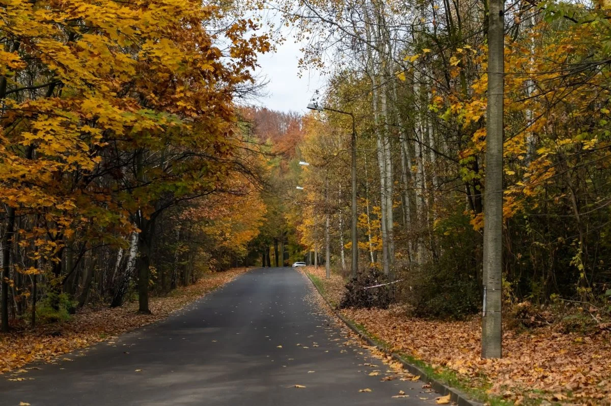 Bytom inwestuje w nowoczesne oświetlenie: 46 nowych opraw LED na ulicach i w parkach!