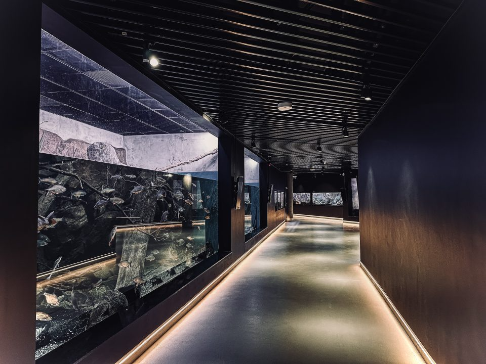 Straszny weekend w Egzotarium. Nocuj tuż obok gadów i pająków!