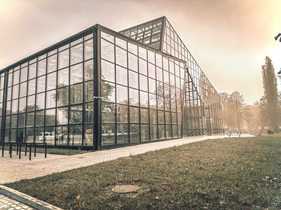 Straszny weekend w Egzotarium. Nocuj tuż obok gadów i pająków!