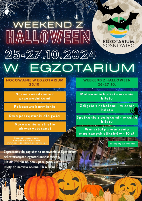 Straszny weekend w Egzotarium. Nocuj tuż obok gadów i pająków!