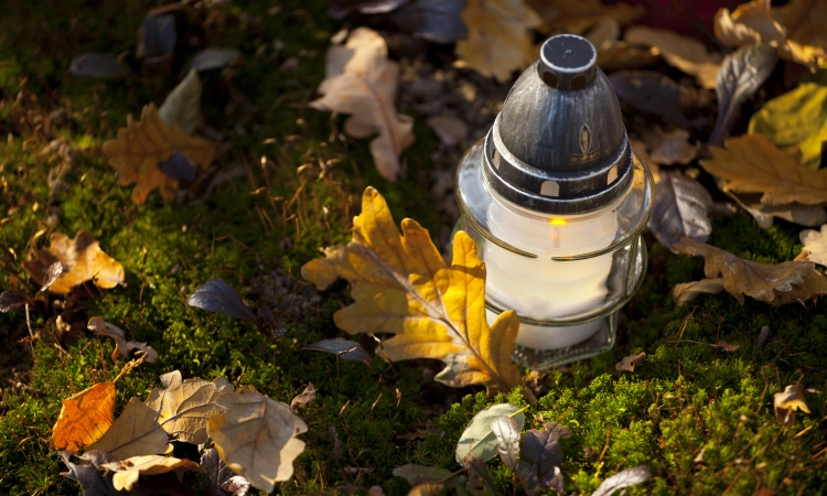 1 listopada bezpłatnie skorzystamy ze wszystkich linii ZTM!